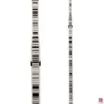 Leica GTL4M Telescopic Staff